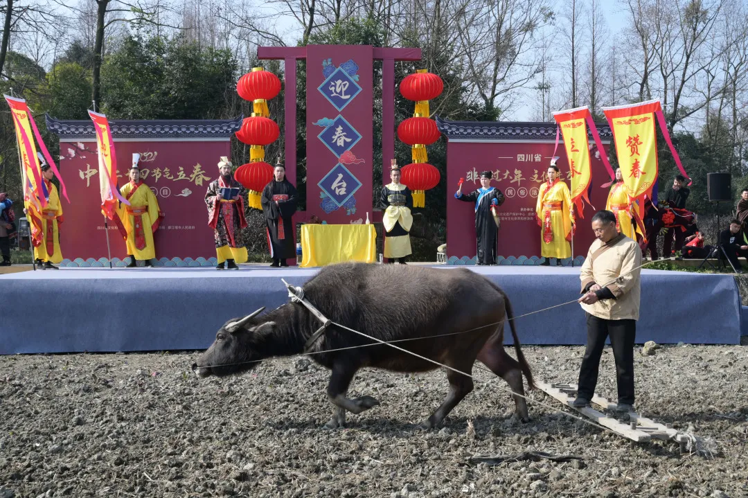 "立春"传统民俗展示内容涵盖暖春,迎春,咬春,打春,犁春等,通过