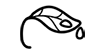 白露